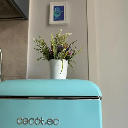 Apartment Mirea *