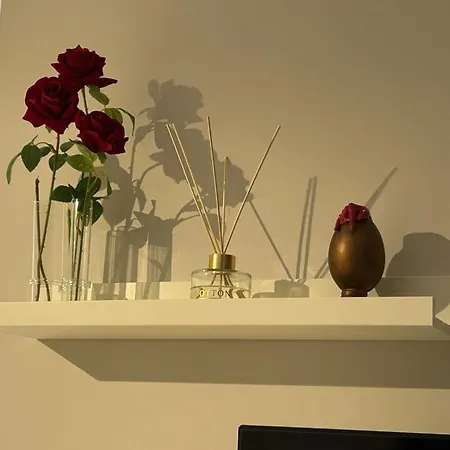 公寓 Mirea 那不勒斯